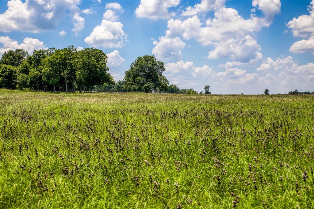 00 Flat Prairie Road, Washington, Texas image 11