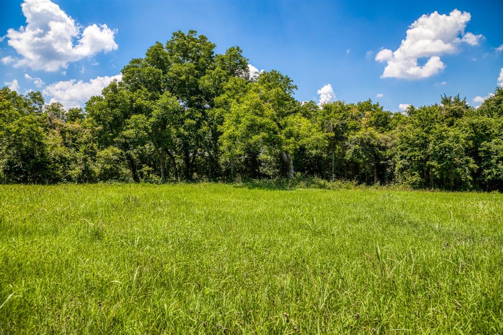 00 Flat Prairie Road, Washington, Texas image 4