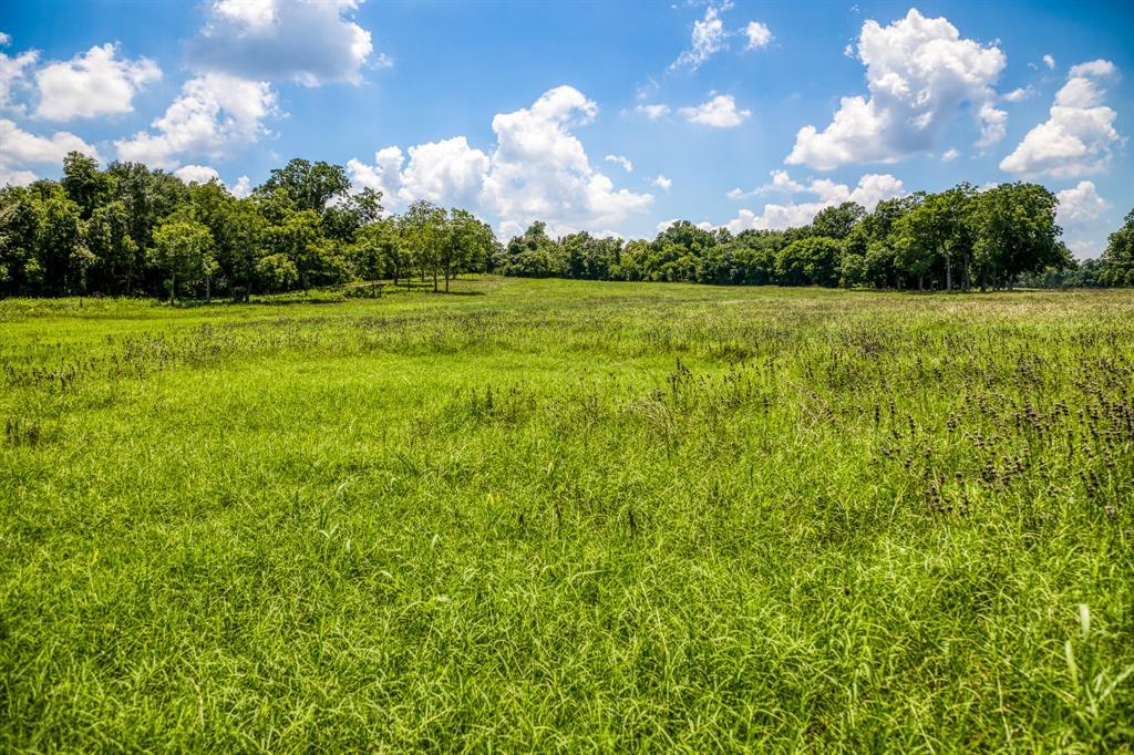 00 Flat Prairie Road, Washington, Texas image 12