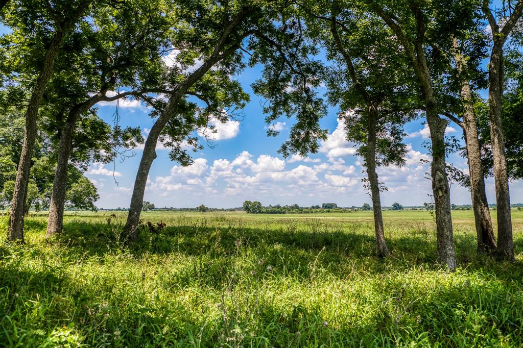 00 Flat Prairie Road, Washington, Texas image 14