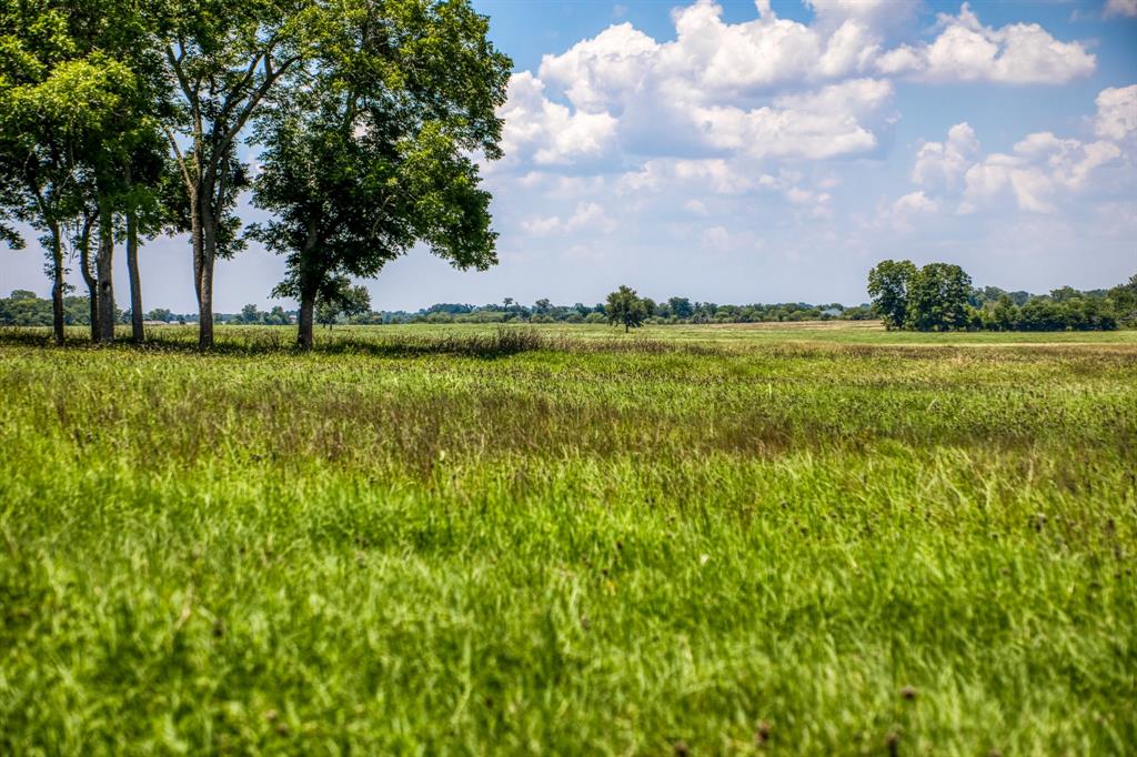 00 Flat Prairie Road, Washington, Texas image 8