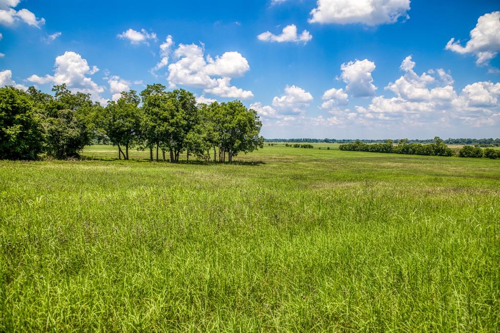 00 Flat Prairie Road, Washington, Texas image 5