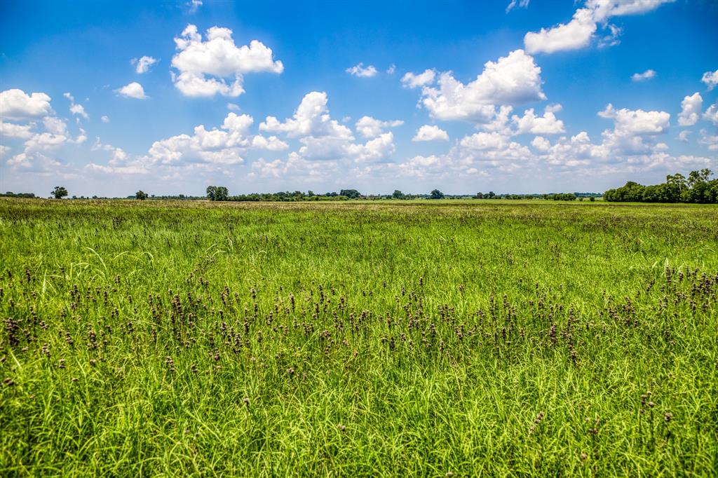 00 Flat Prairie Road, Washington, Texas image 9