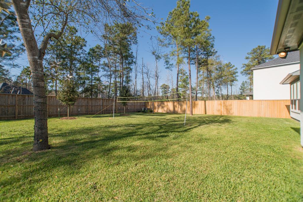 71 Perennial Canyon Drive, Tomball, Texas image 44