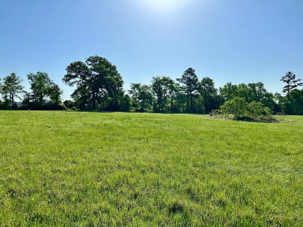 001 Sullivan Road, Apple Springs, Texas image 3