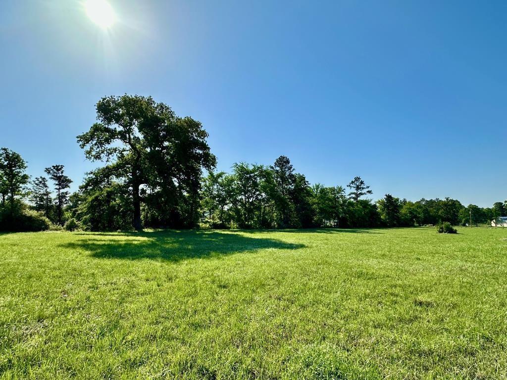 001 Sullivan Road, Apple Springs, Texas image 1