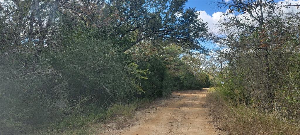 22.37AC. Pr 1100, Leona, Texas image 3