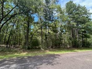 Hackberry, Huntsville, Texas image 2