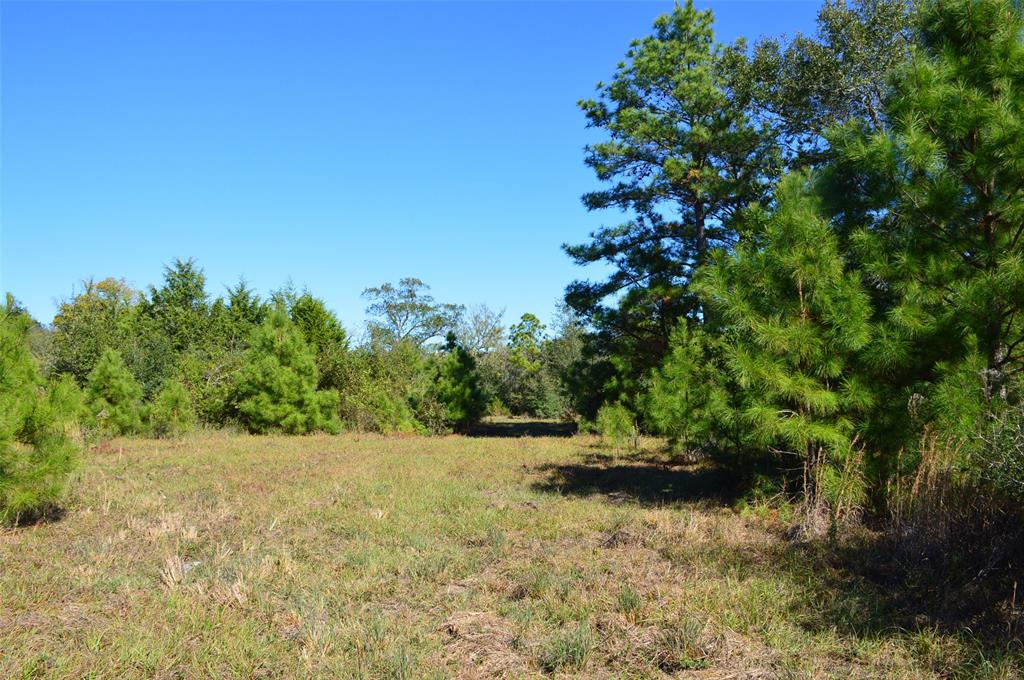 0030 Fm 2562, Richards, Texas image 17