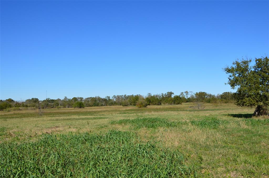 0030 Fm 2562, Richards, Texas image 25