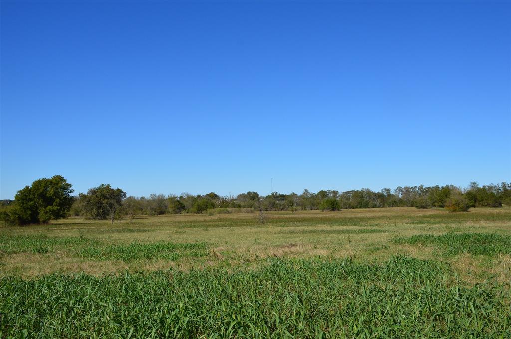 0030 Fm 2562, Richards, Texas image 24