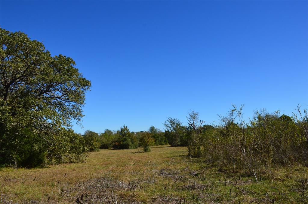 0030 Fm 2562, Richards, Texas image 4