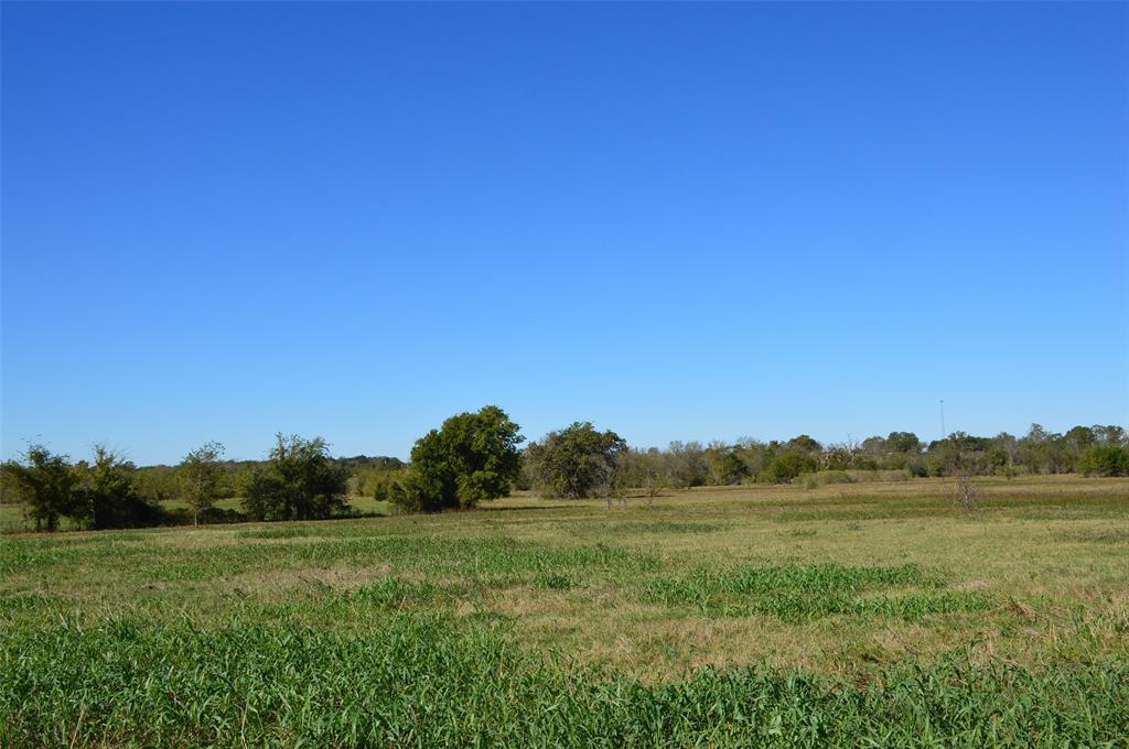 0030 Fm 2562, Richards, Texas image 23