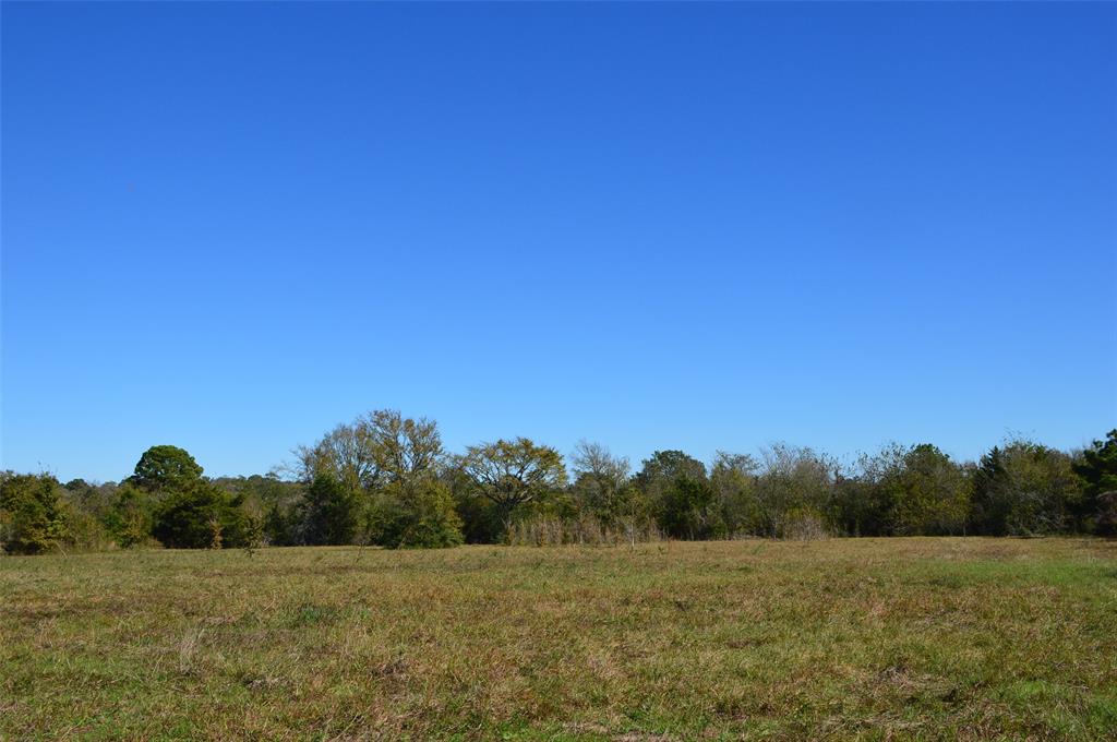 0030 Fm 2562, Richards, Texas image 2