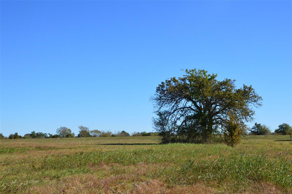 0030 Fm 2562, Richards, Texas image 28