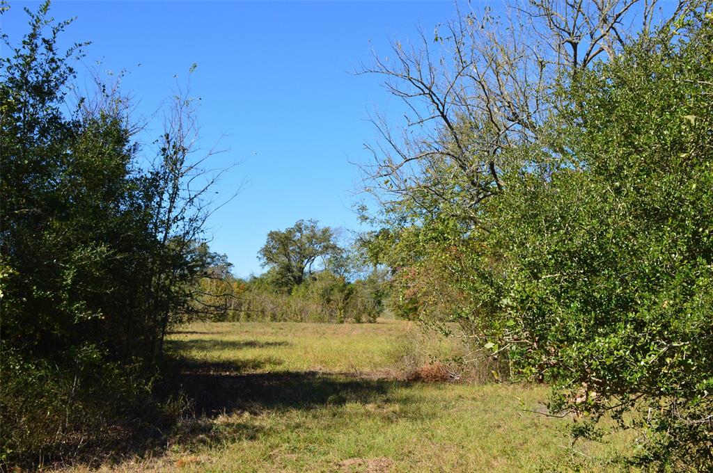 0030 Fm 2562, Richards, Texas image 7