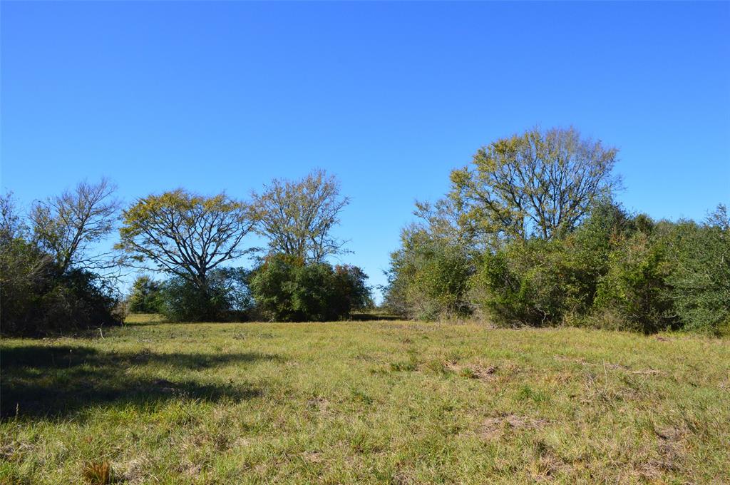 0030 Fm 2562, Richards, Texas image 20