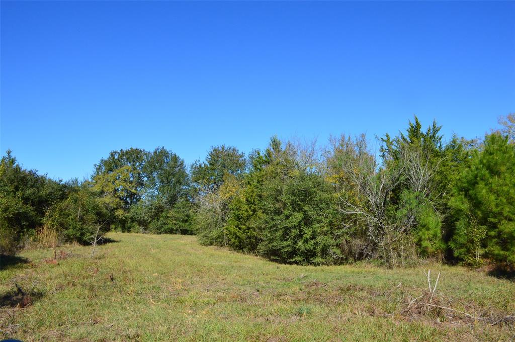 0030 Fm 2562, Richards, Texas image 14