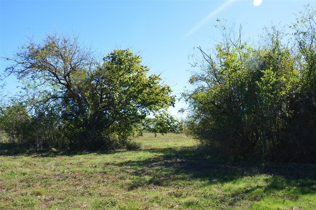 0030 Fm 2562, Richards, Texas image 36