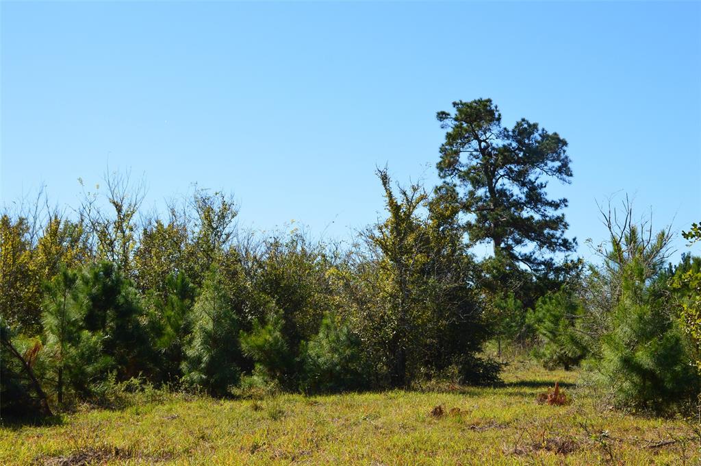 0030 Fm 2562, Richards, Texas image 8