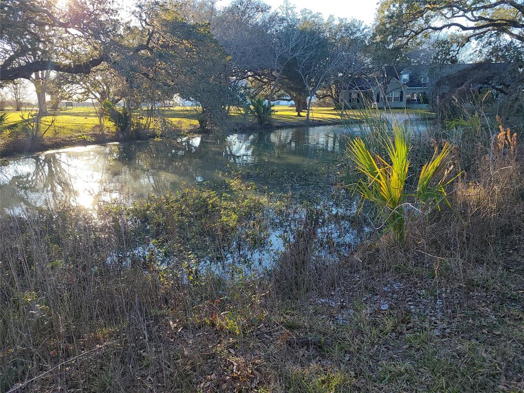 43 Cattle Drive Drive, Bay City, Texas image 9