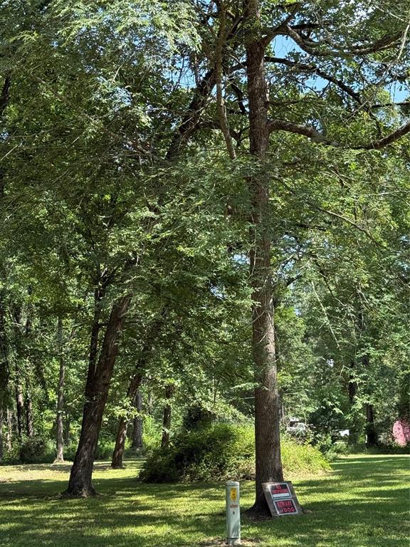 230 Hideout Circle, Livingston, Texas image 13