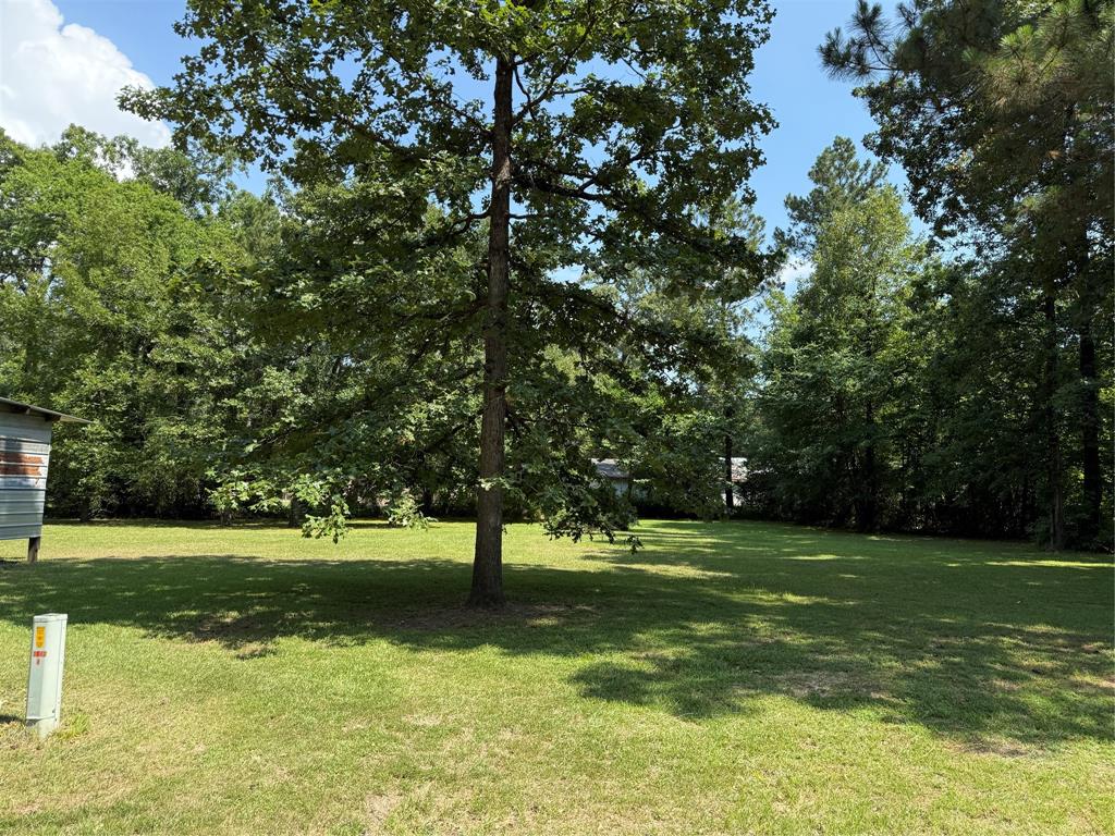 230 Hideout Circle, Livingston, Texas image 1