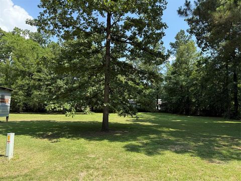 Photo of 230 Hideout Circle, Livingston, TX 77351 (MLS # 75501768)