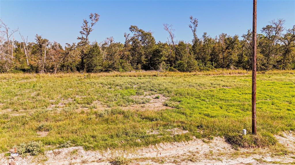 011 Oak Park Trail, Onalaska, Texas image 7
