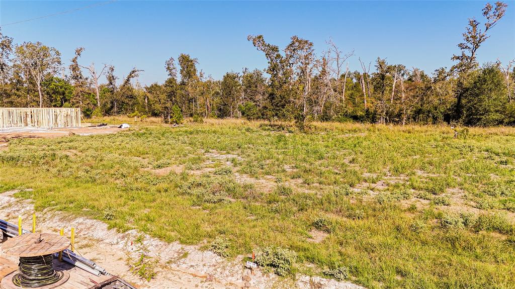 011 Oak Park Trail, Onalaska, Texas image 6