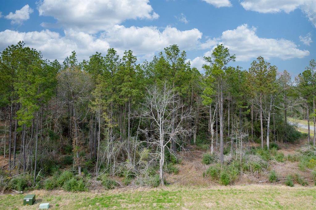 12737 Oak Barrel Road, Willis, Texas image 4