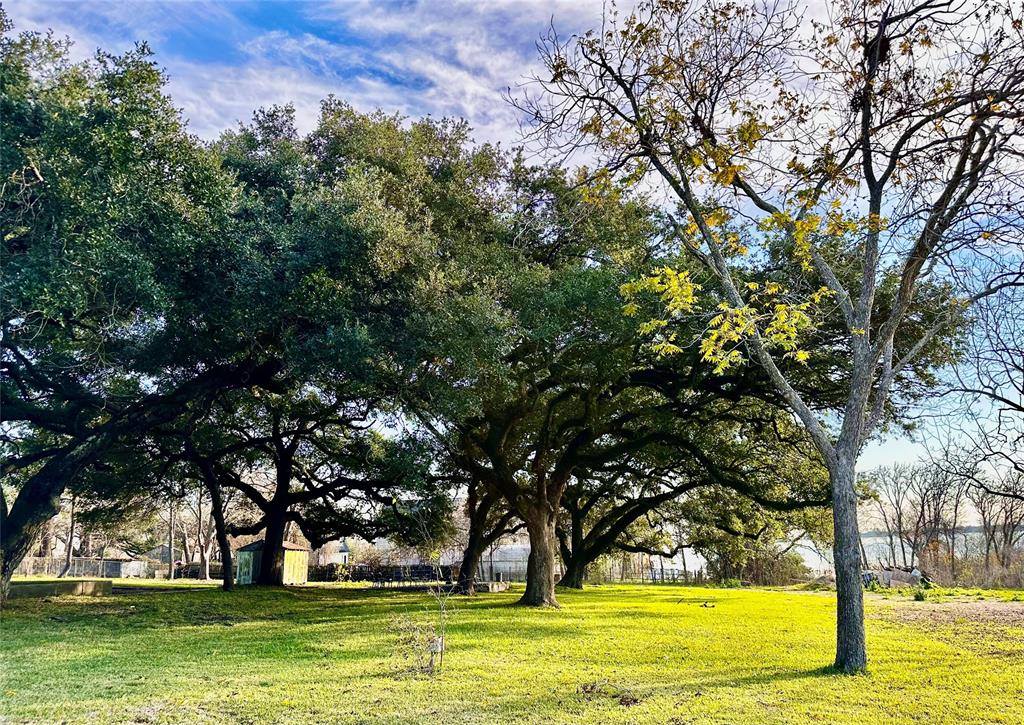 206 S 6th Street, Highlands, Texas image 18