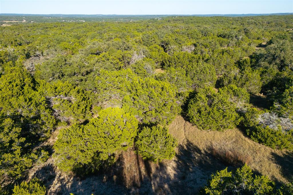 1101 Madrone Road, Fischer, Texas image 3