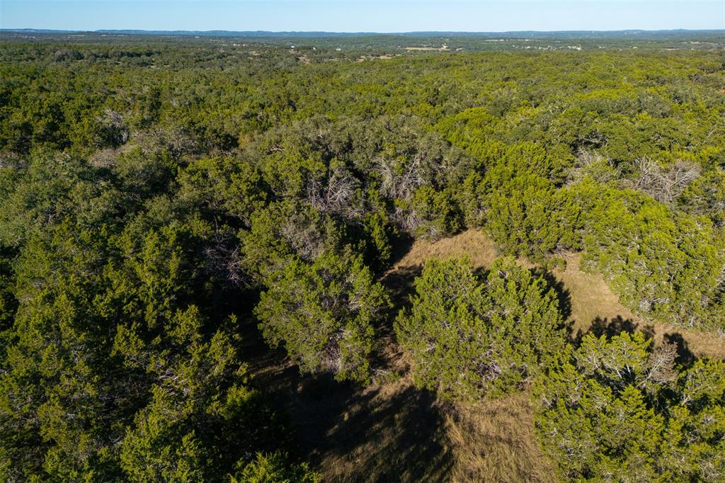 1101 Madrone Road, Fischer, Texas image 4