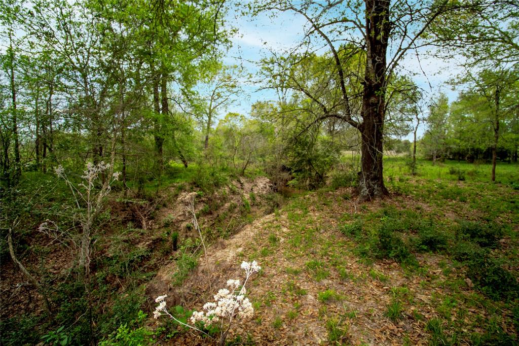 TBD Fm-154, Muldoon, Texas image 7