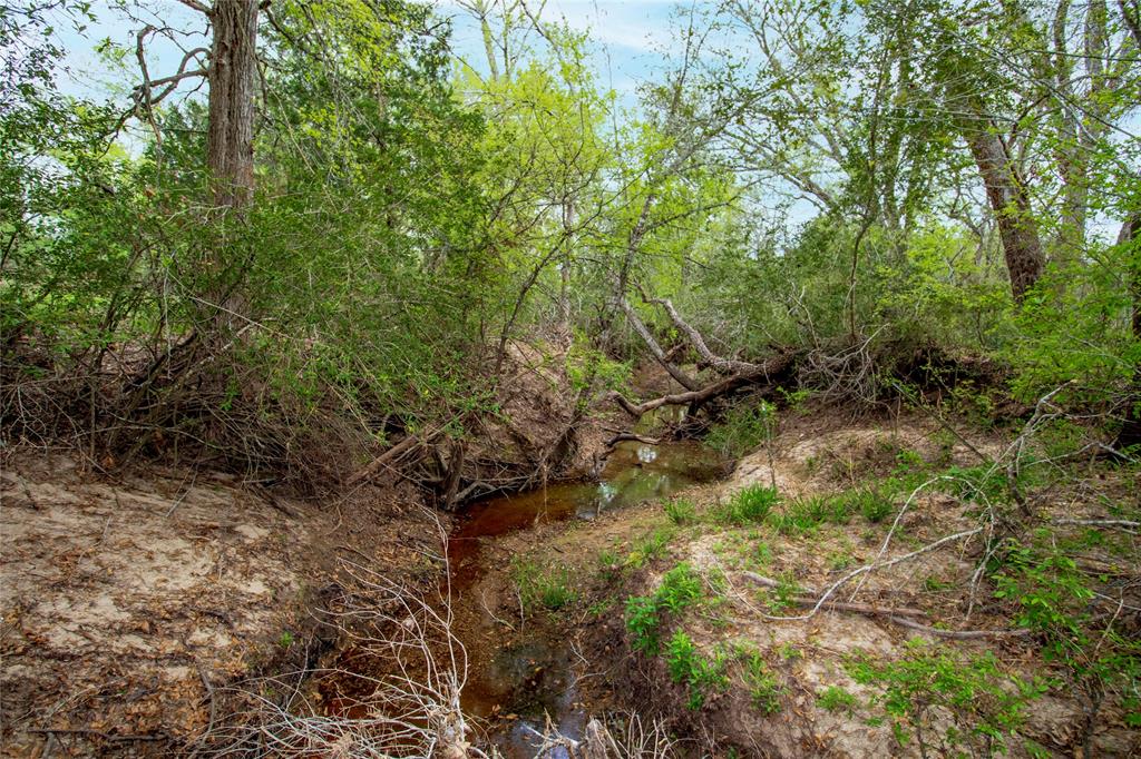 TBD Fm-154, Muldoon, Texas image 5