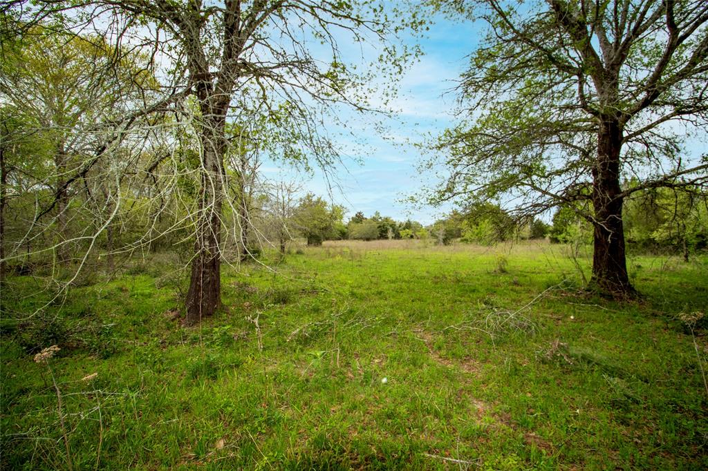 TBD Fm-154, Muldoon, Texas image 21