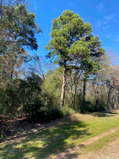 TBD Fm-3178 Corner, Centerville, Texas image 13