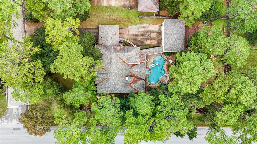 12902 Park Forest Trail, Cypress, Texas image 7