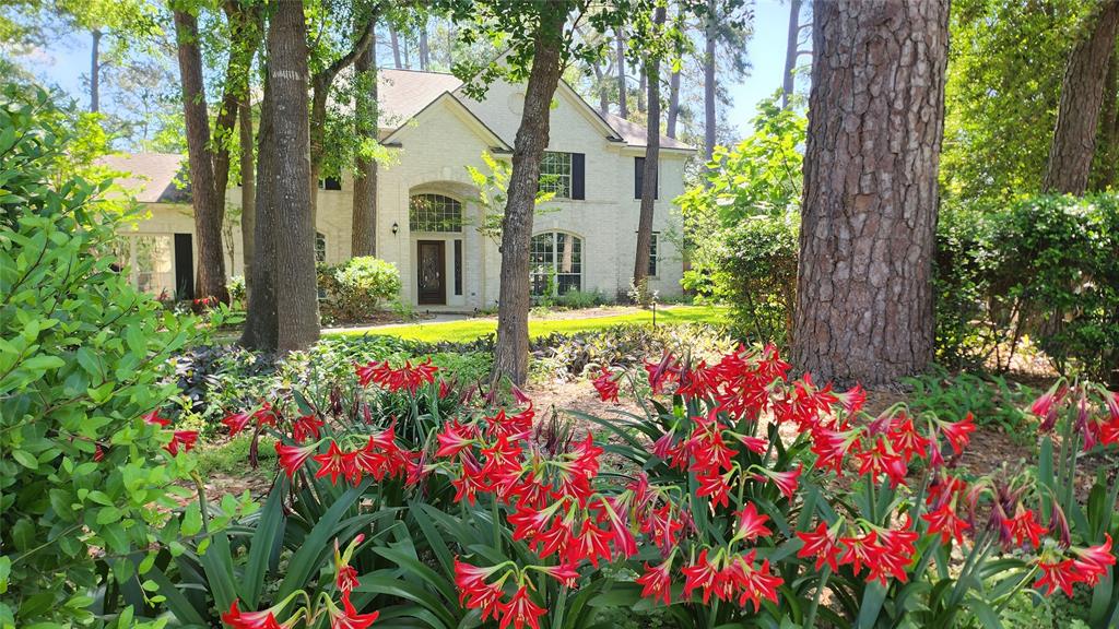 12902 Park Forest Trail, Cypress, Texas image 3