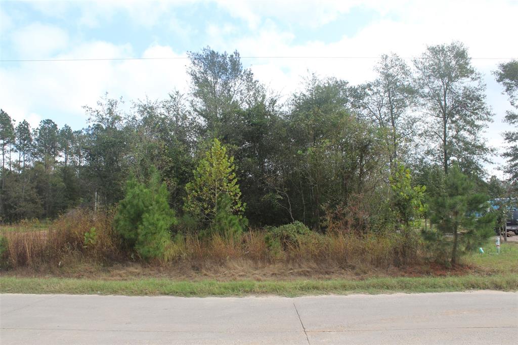 70 County Road 5008, Cleveland, Texas image 1