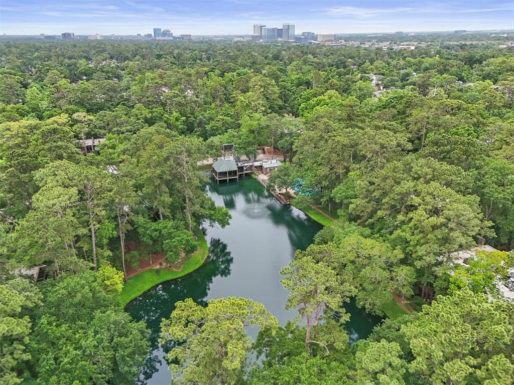115 Litchfield Lane, Houston, Texas image 31