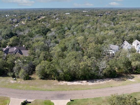 3419 Matoska Ridge, College Station, Texas image 7