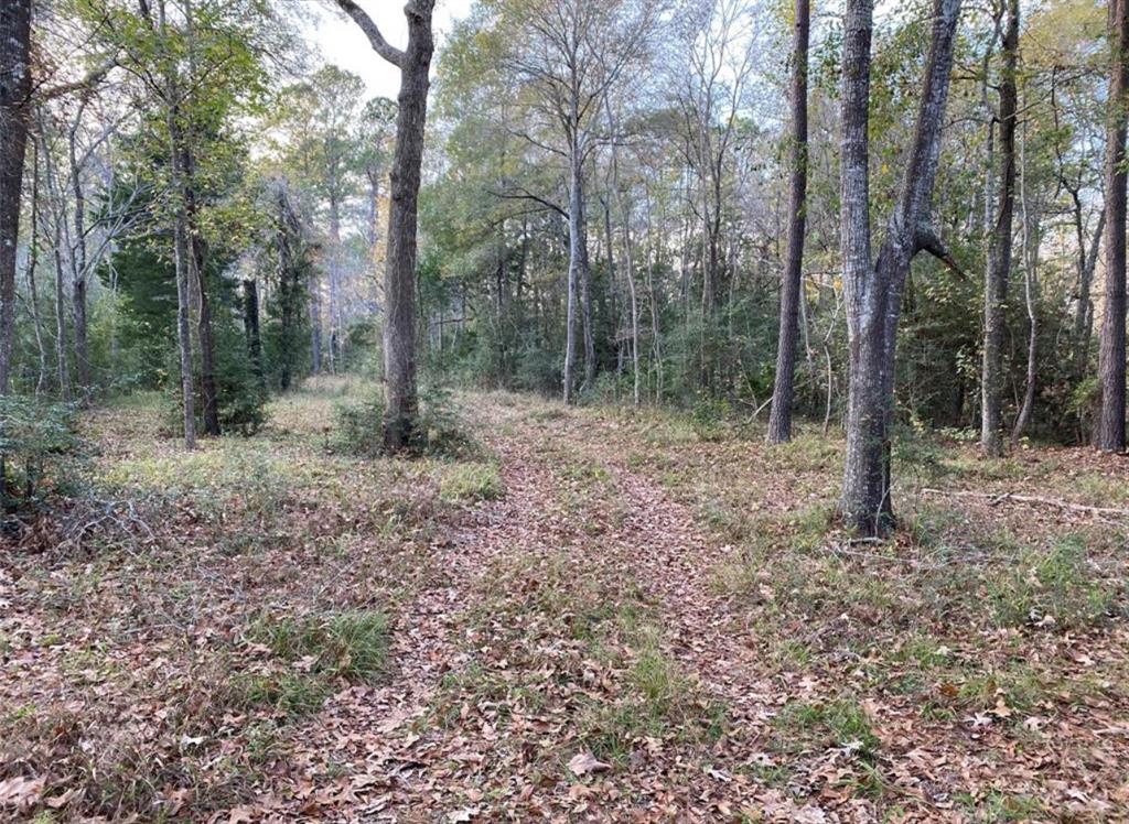 15577 Highway 146, Liberty, Texas image 4