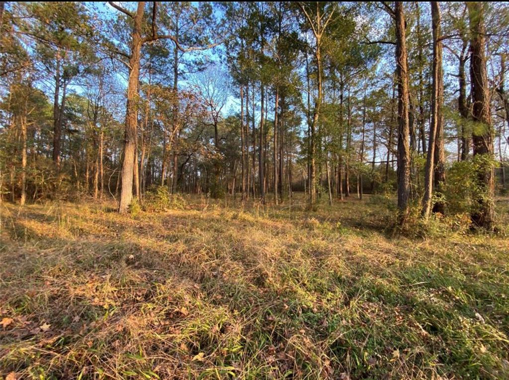 15577 Highway 146, Liberty, Texas image 5