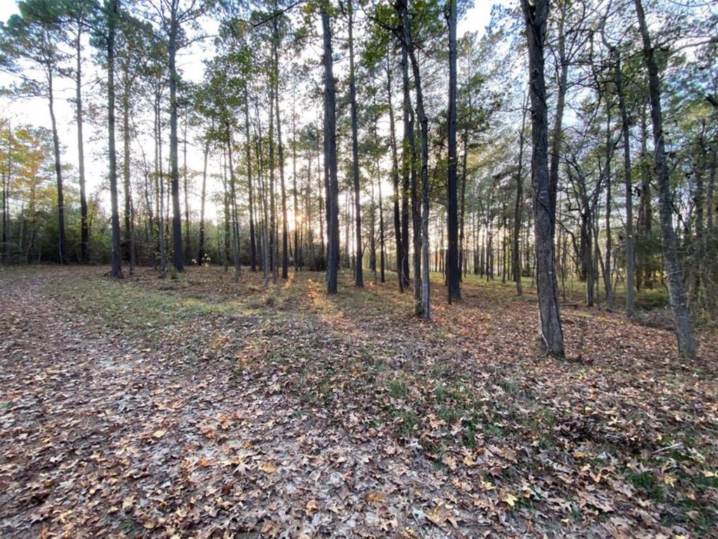 15577 Highway 146, Liberty, Texas image 3
