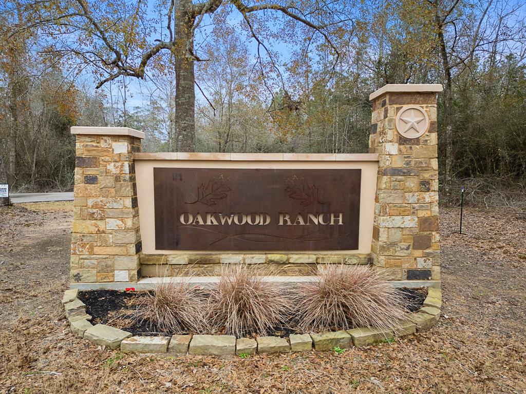 11779 Oakwood Ranch Drive, Willis, Texas image 9