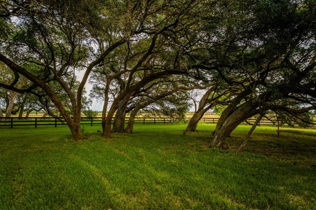 104 Hartfield Hill Ln Ln, Round Top, Texas image 47