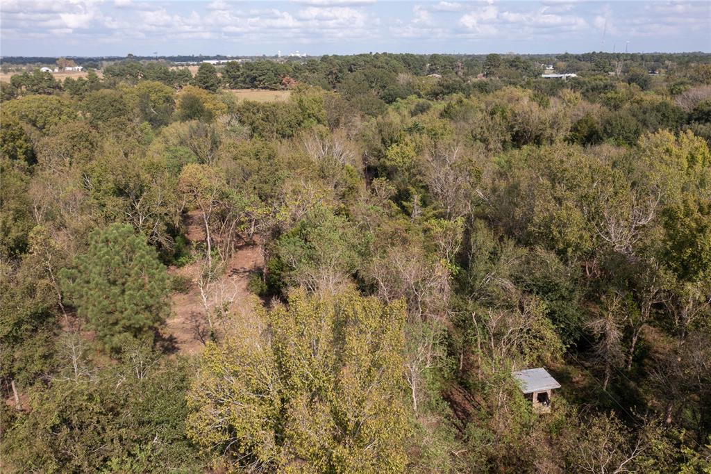 Meadowbrook Lane, Waller, Texas image 44