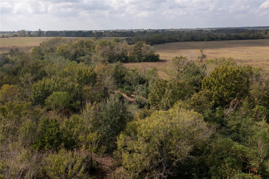 Meadowbrook Lane, Waller, Texas image 30